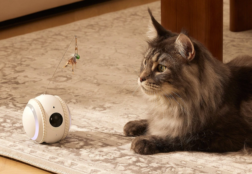 what is the best pet camera
